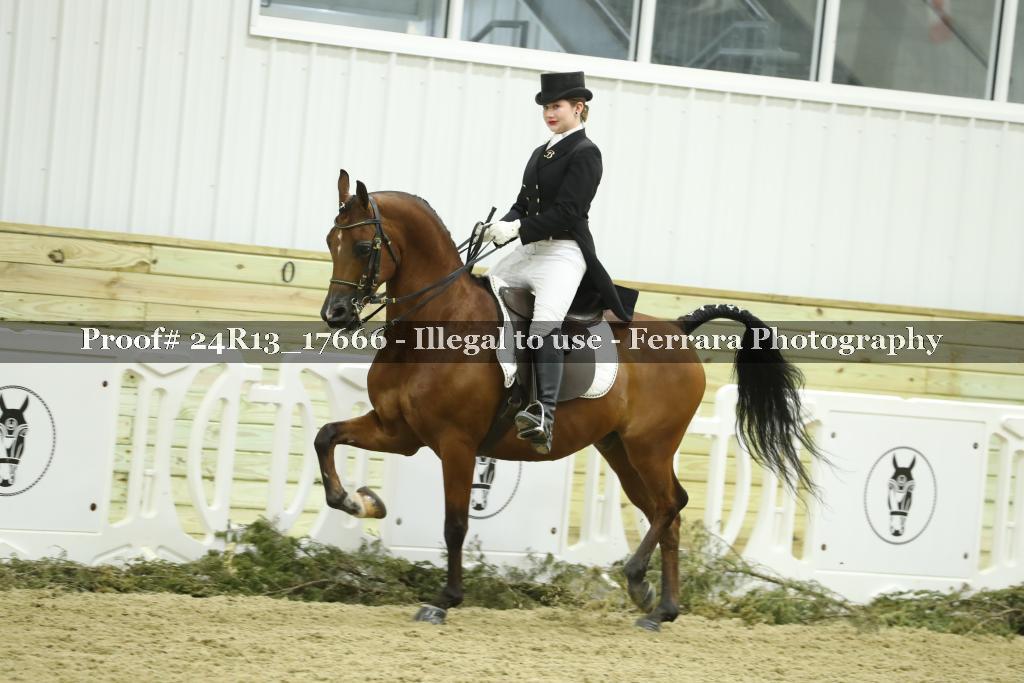 Proof 24R13_17666