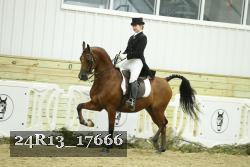 24R13_17666 proof