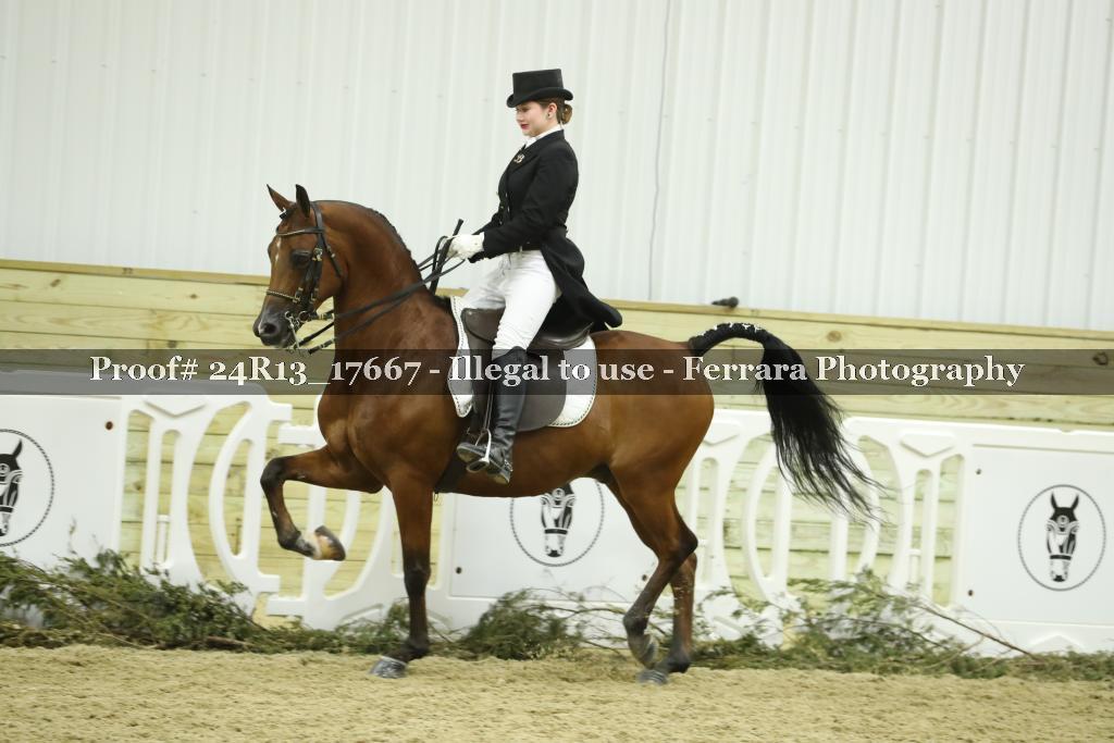 Proof 24R13_17667