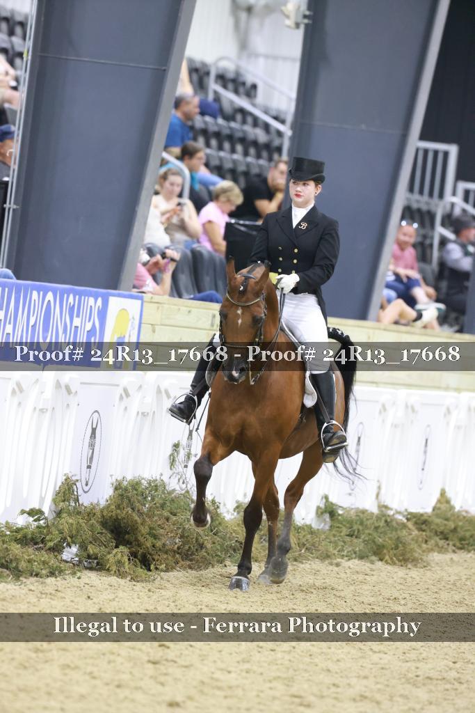 Proof 24R13_17668