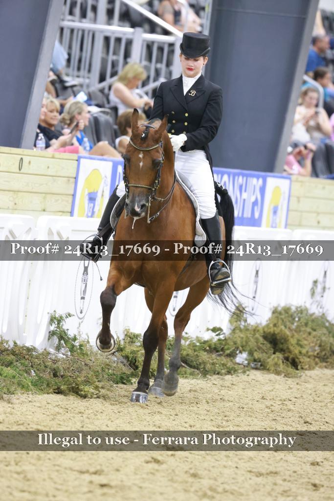 Proof 24R13_17669