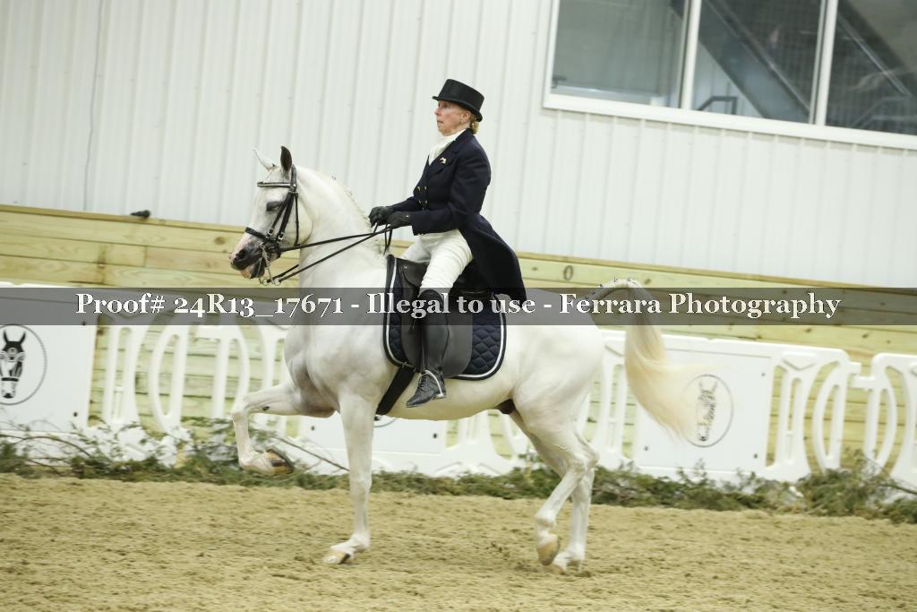 Proof 24R13_17671