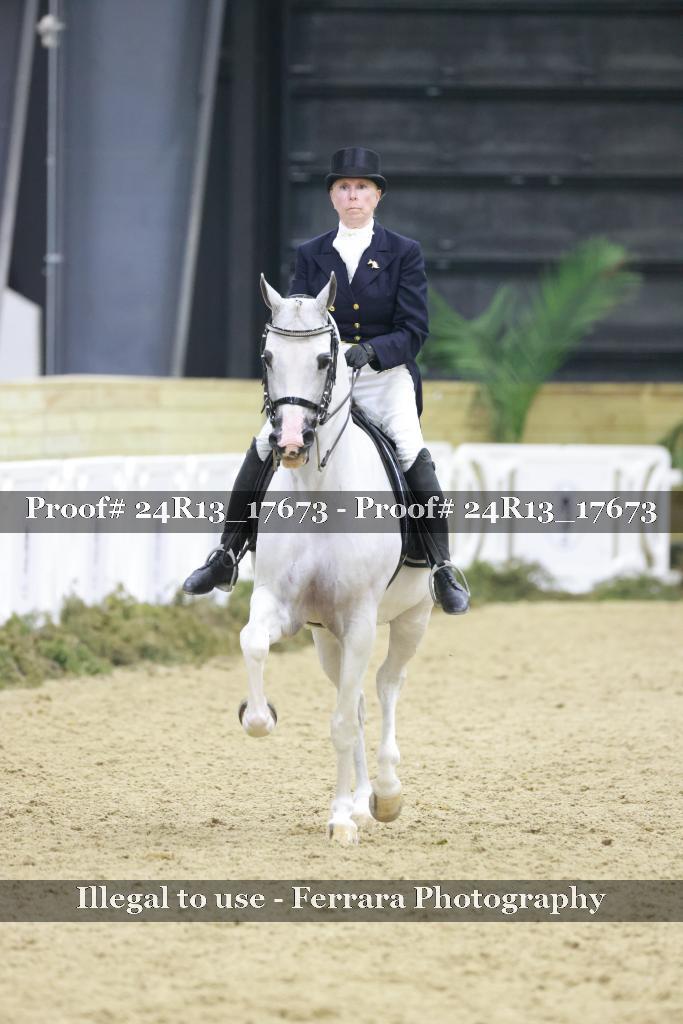 Proof 24R13_17673