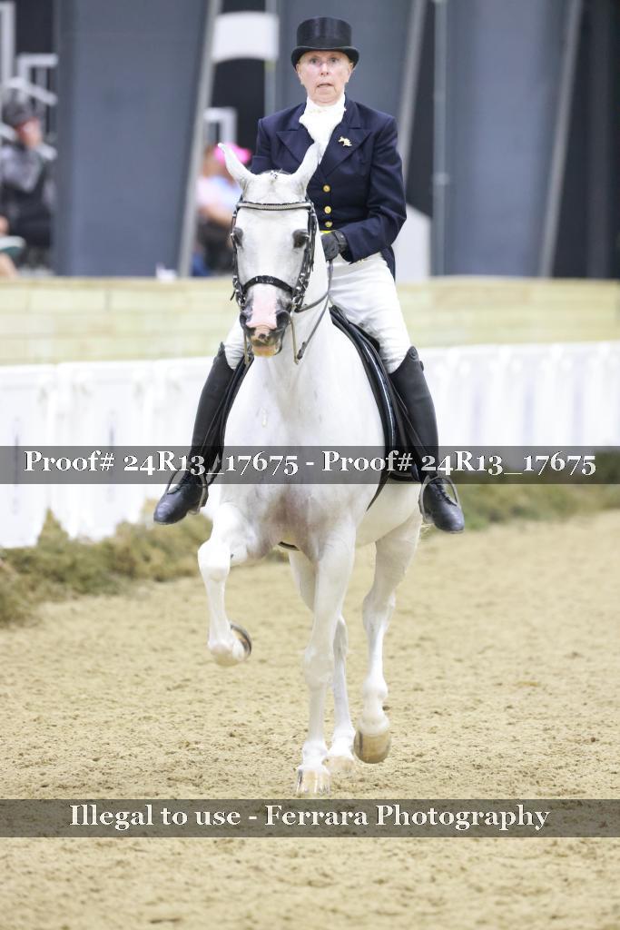 Proof 24R13_17675
