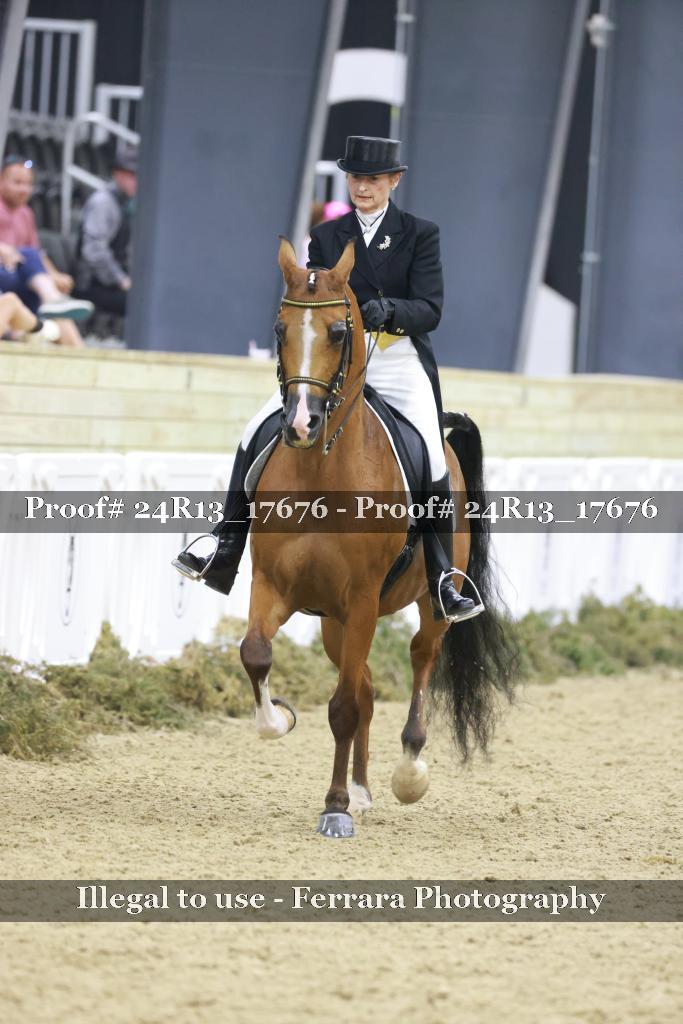 Proof 24R13_17676