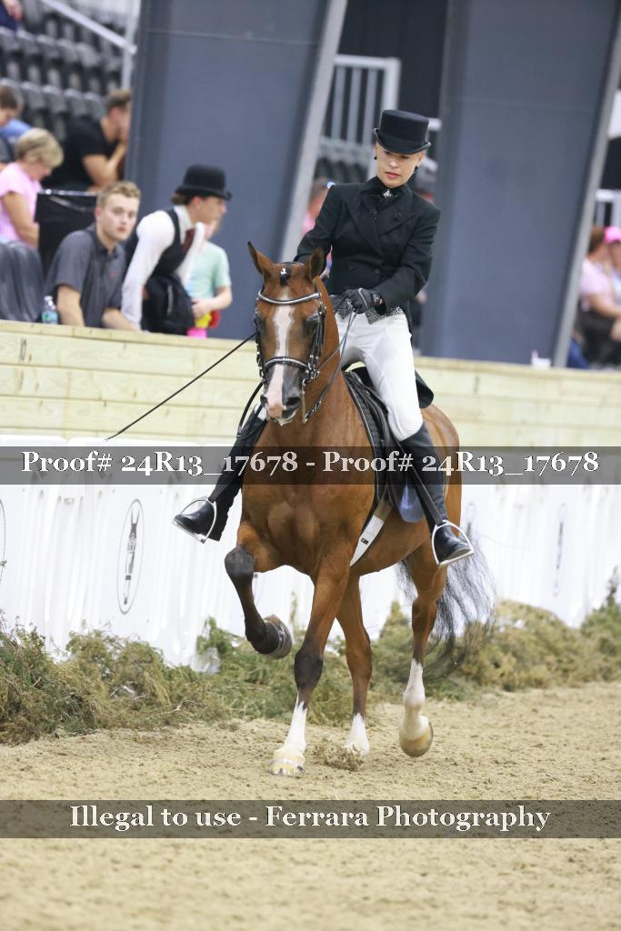 Proof 24R13_17678