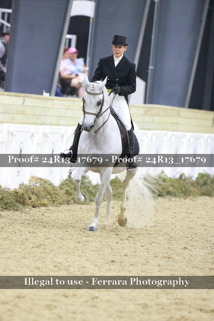 Proof 24R13_17679