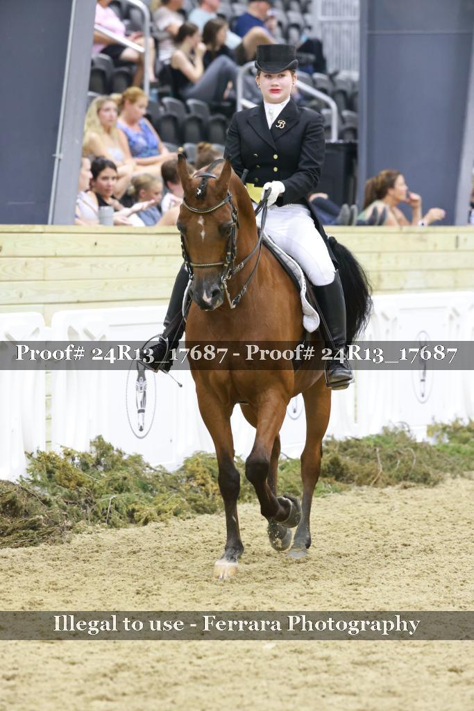 Proof 24R13_17687