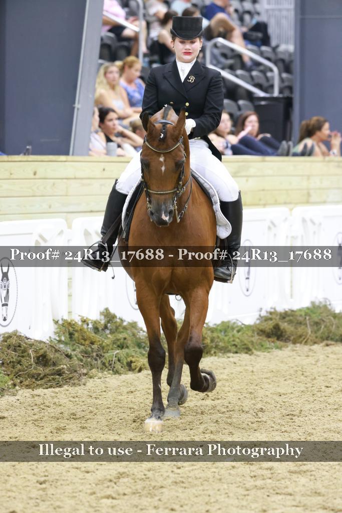 Proof 24R13_17688