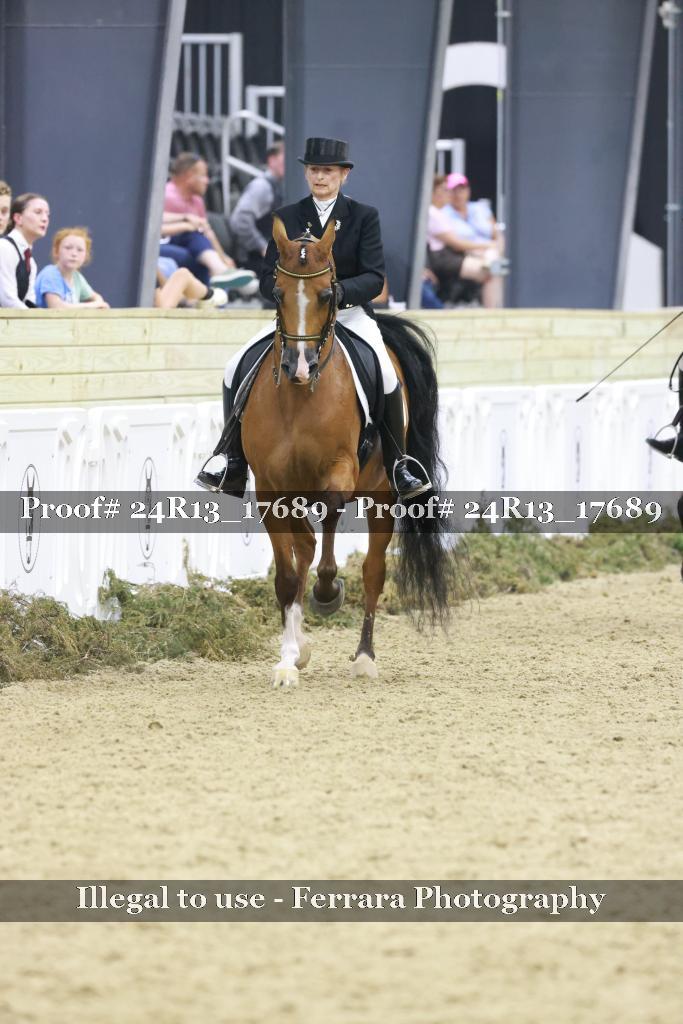 Proof 24R13_17689