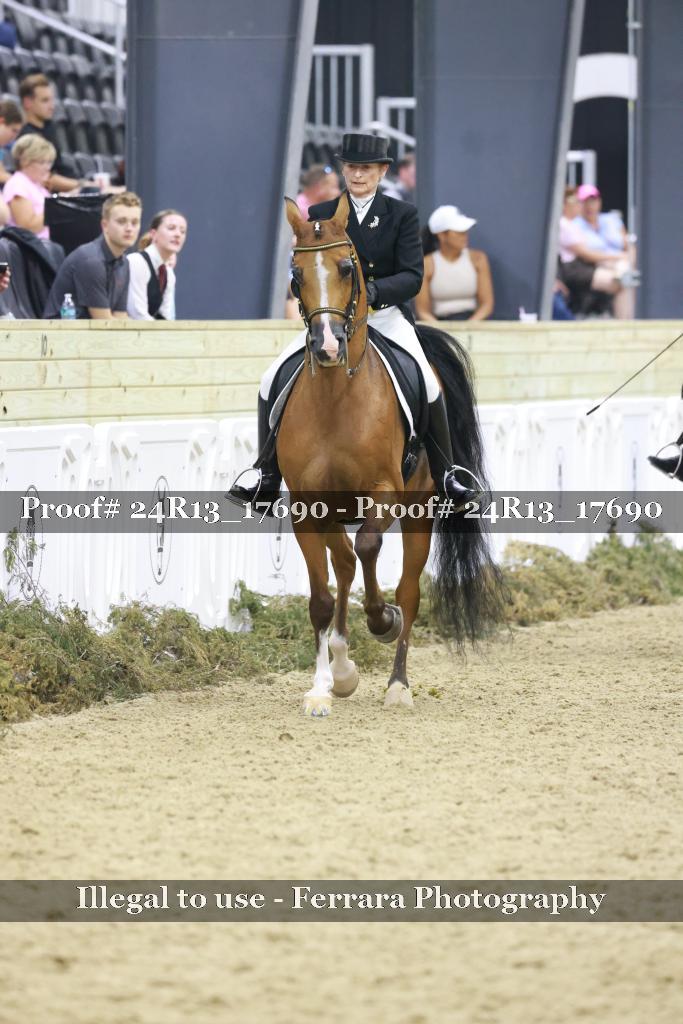 Proof 24R13_17690
