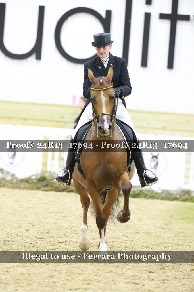 Proof 24R13_17694