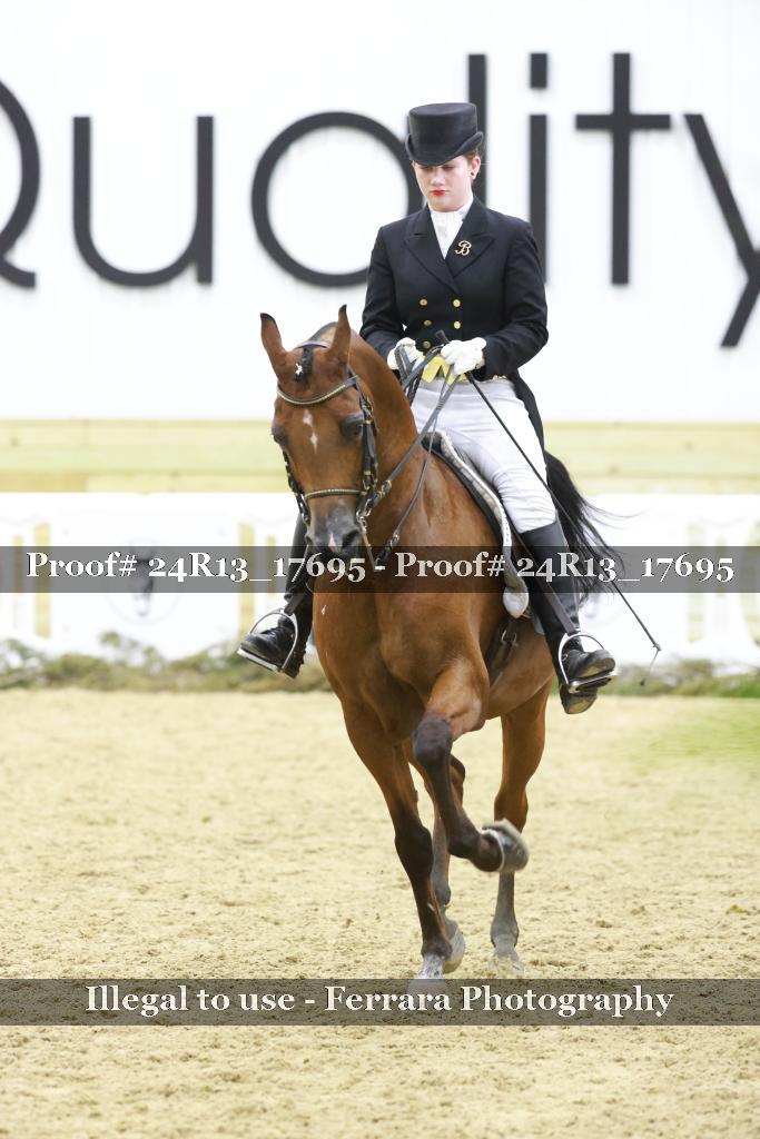 Proof 24R13_17695
