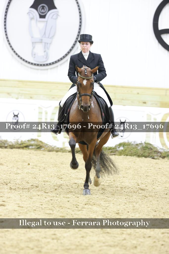 Proof 24R13_17696