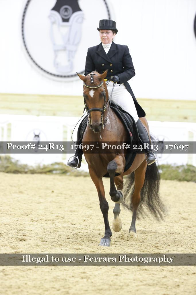Proof 24R13_17697