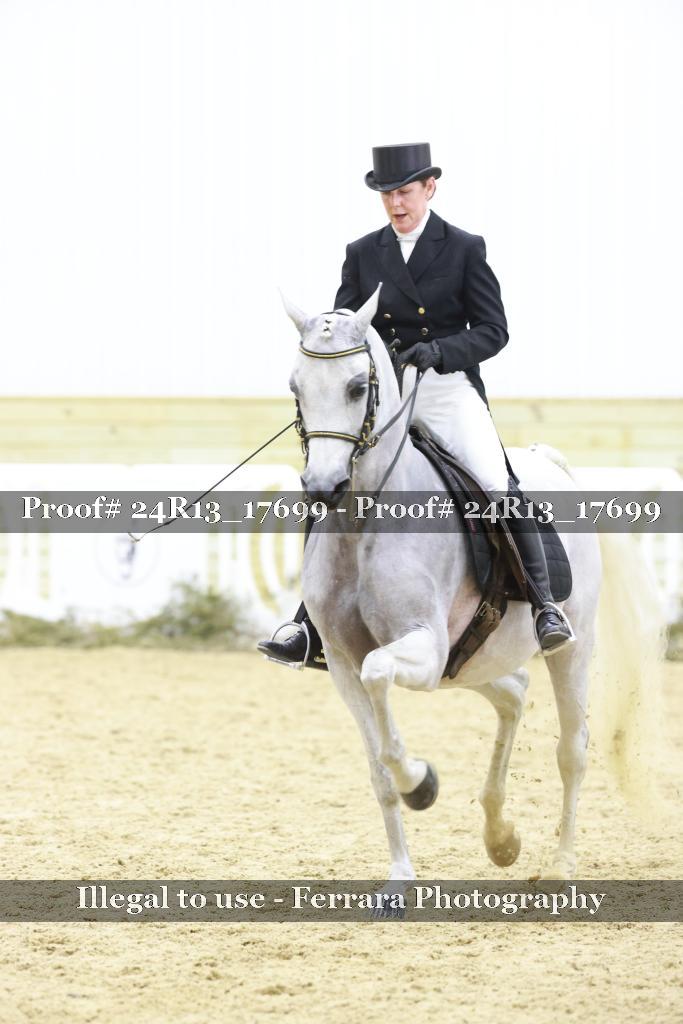 Proof 24R13_17699