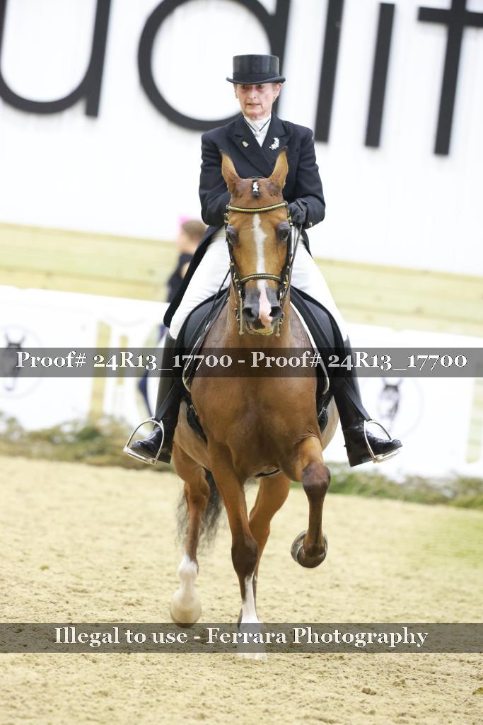 Proof 24R13_17700