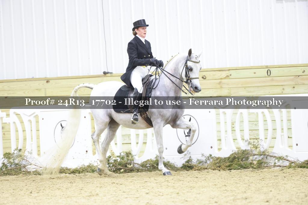 Proof 24R13_17702