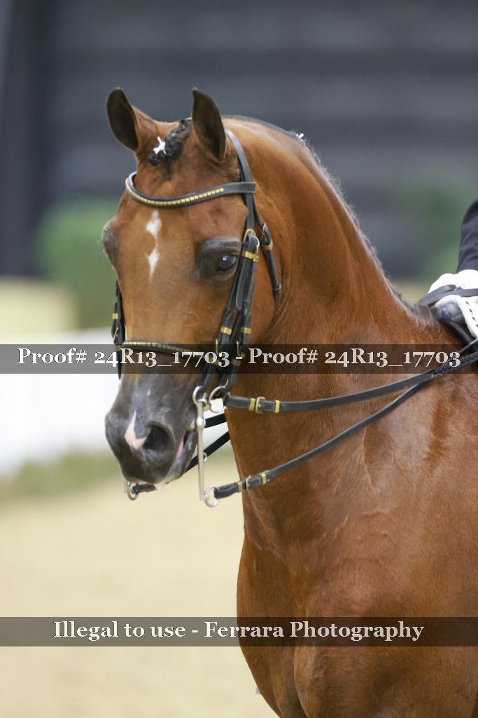 Proof 24R13_17703