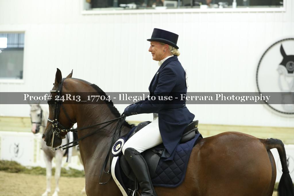 Proof 24R13_17704
