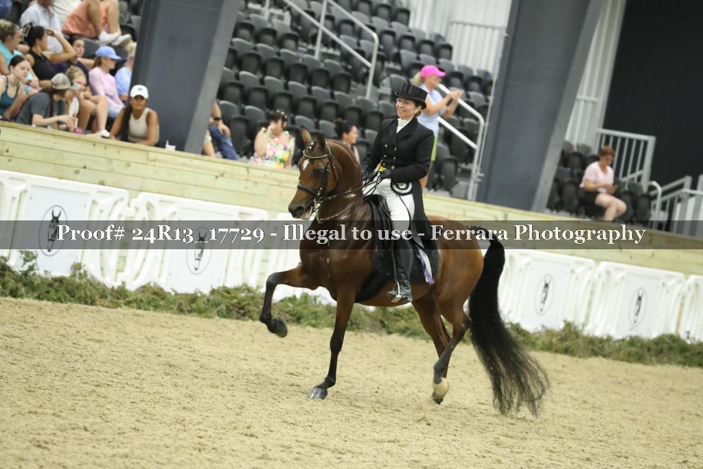 Proof 24R13_17729