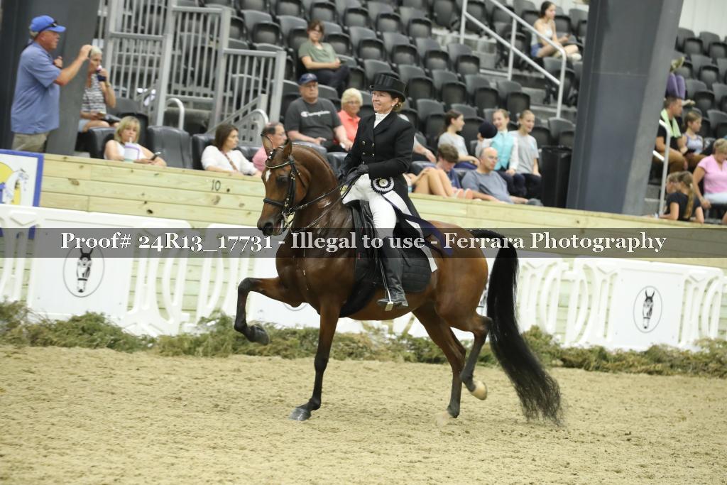 Proof 24R13_17731