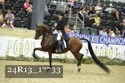 24R13_17733 proof