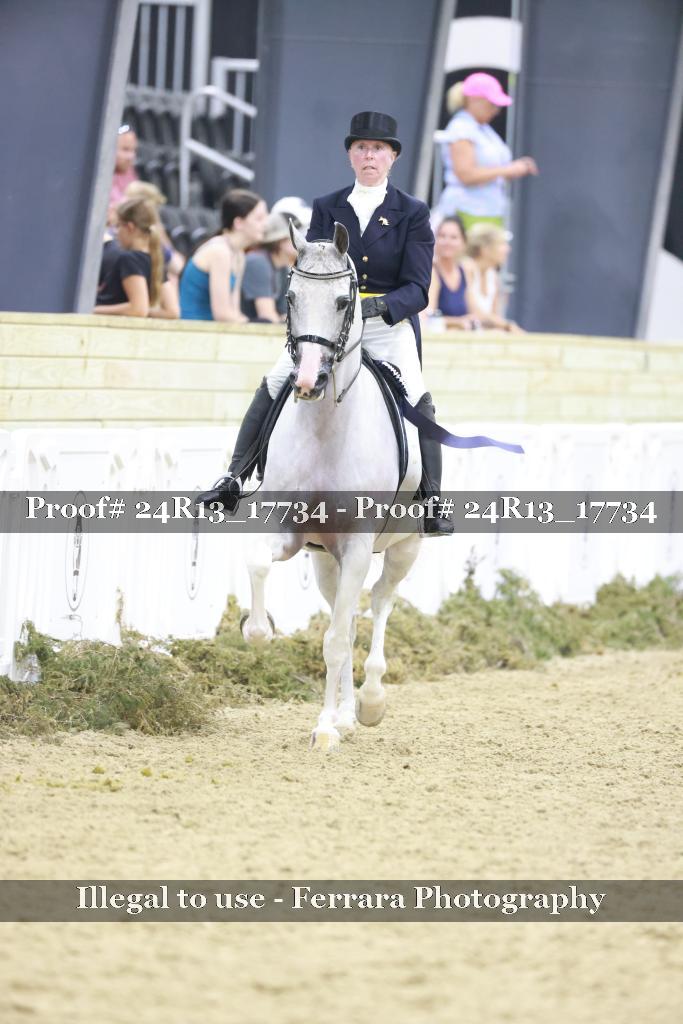 Proof 24R13_17734