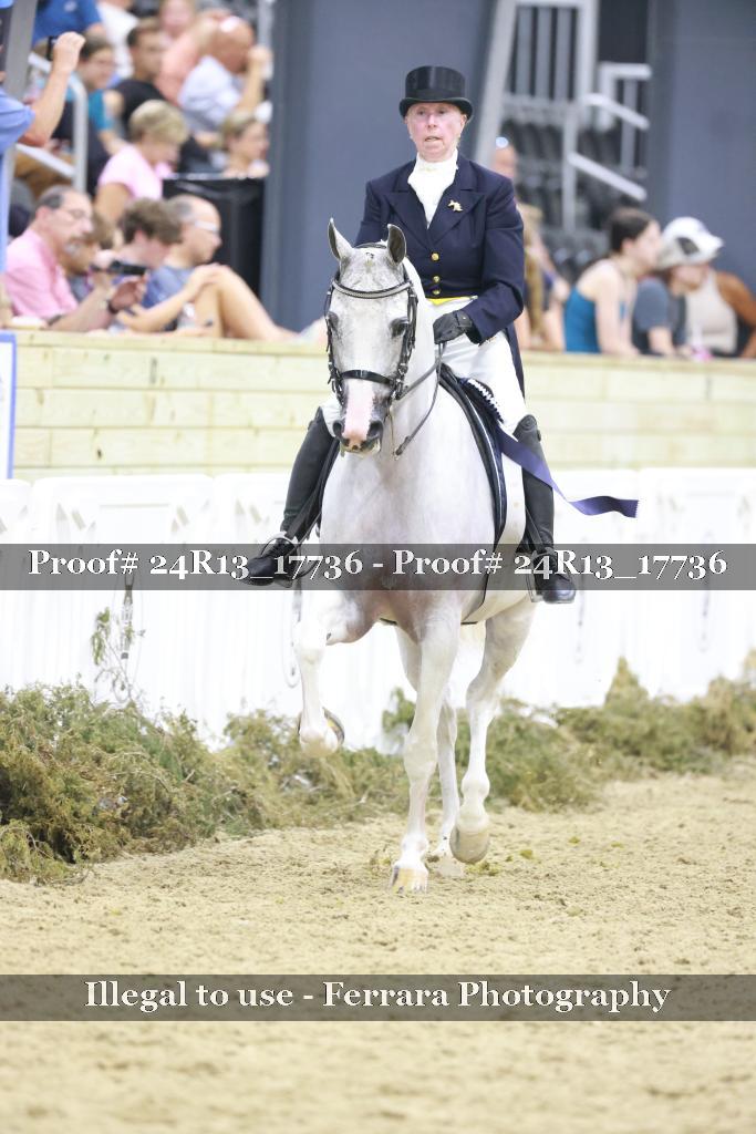 Proof 24R13_17736