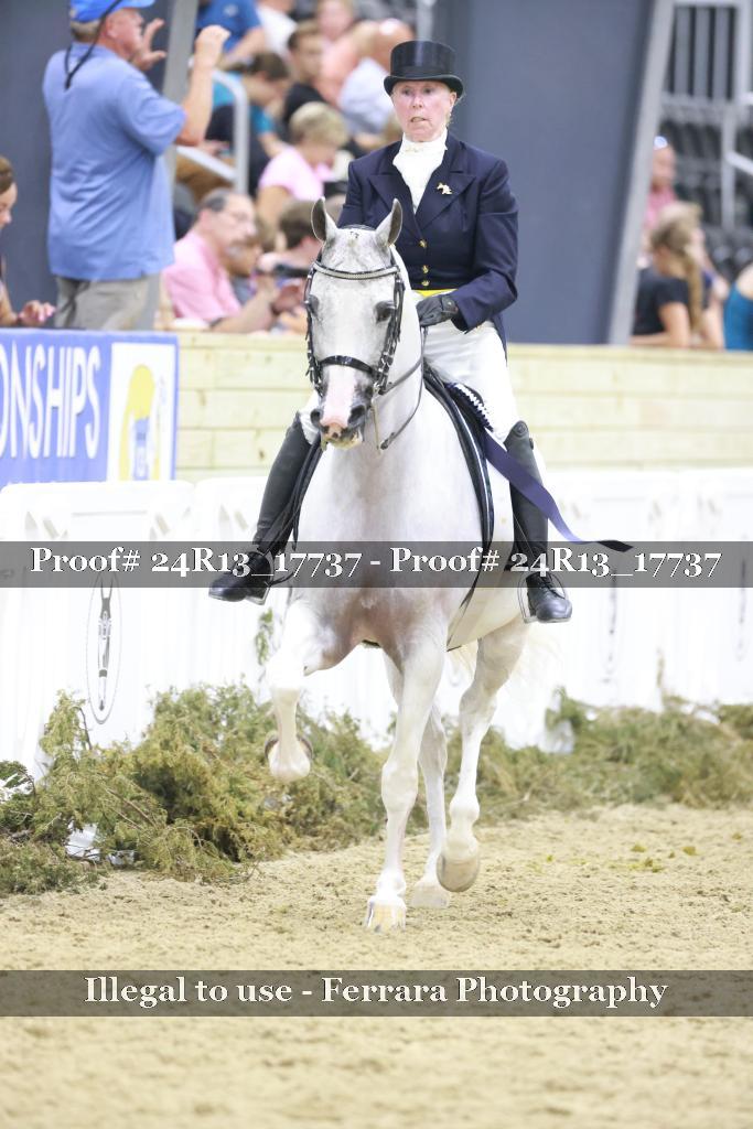 Proof 24R13_17737