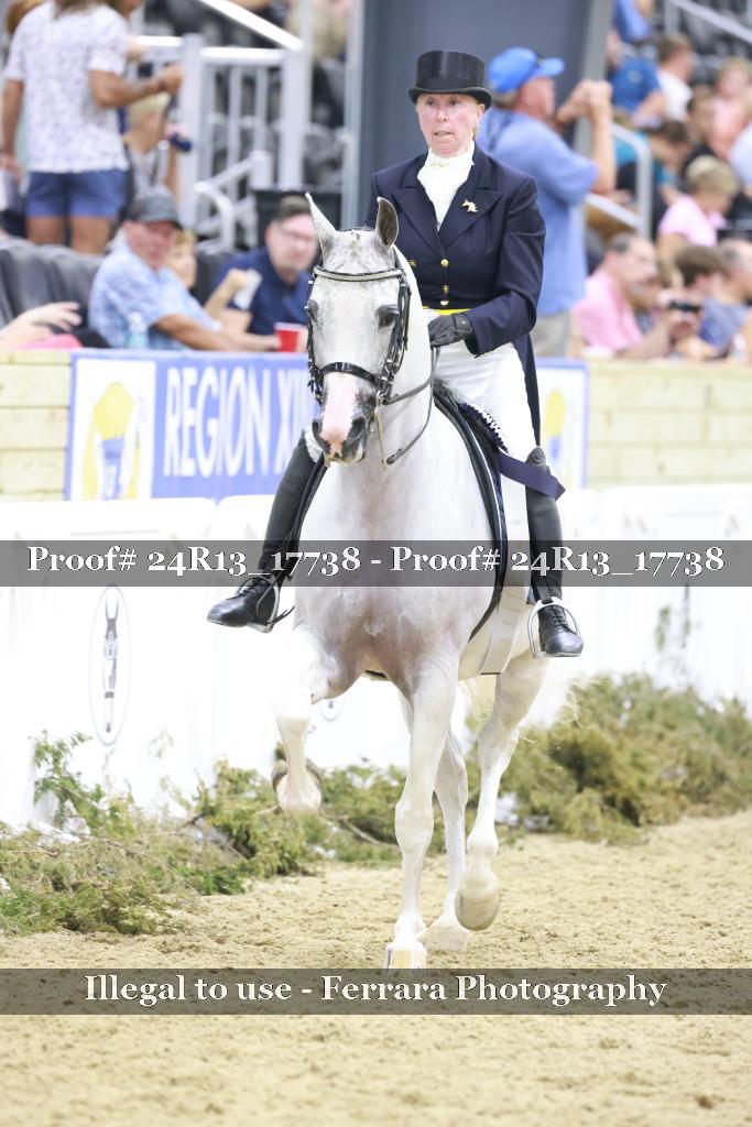 Proof 24R13_17738