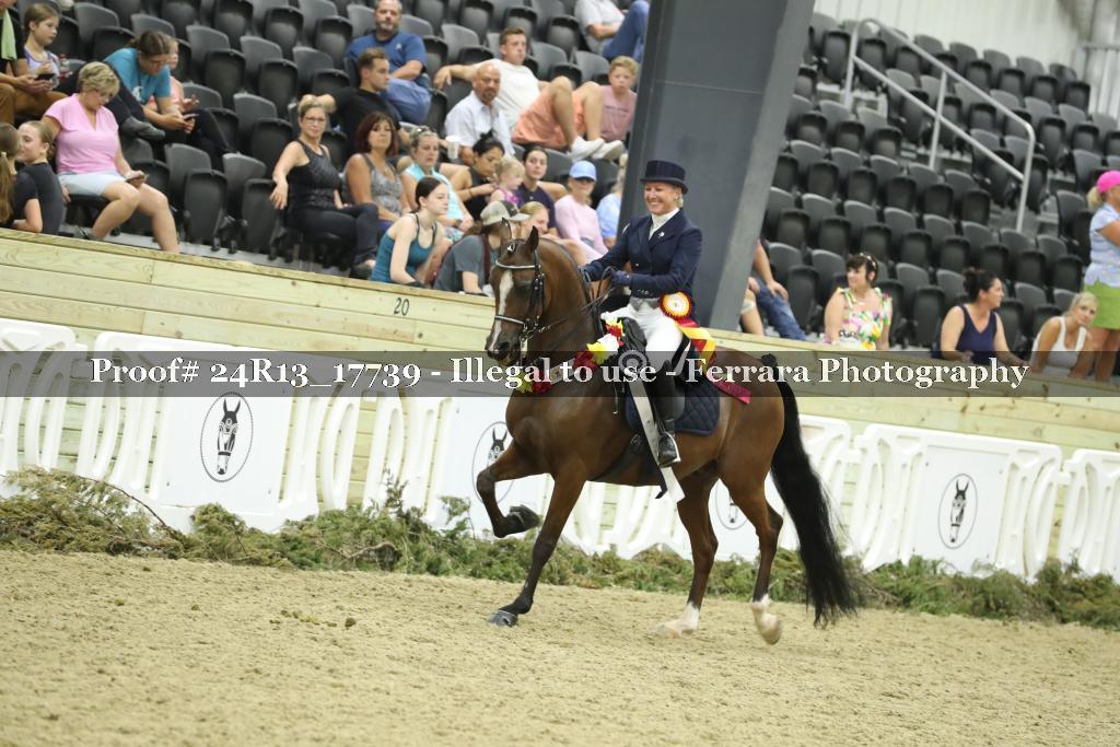 Proof 24R13_17739
