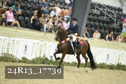 24R13_17739 proof