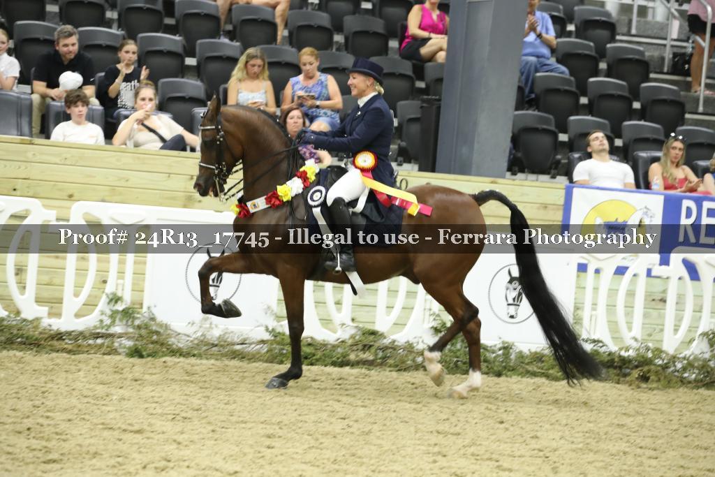 Proof 24R13_17745