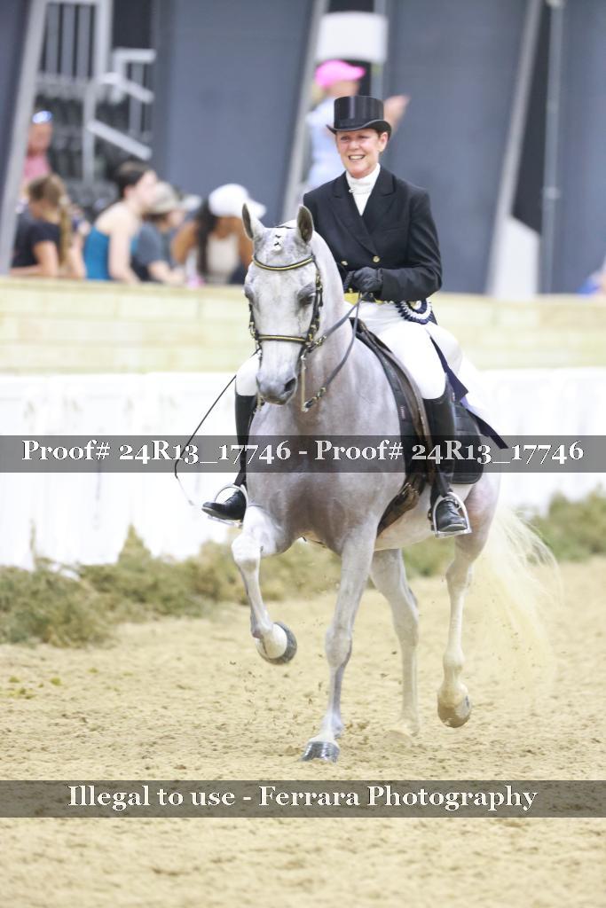 Proof 24R13_17746