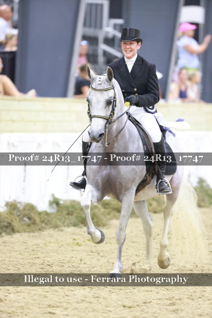 Proof 24R13_17747