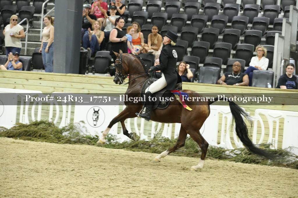 Proof 24R13_17751
