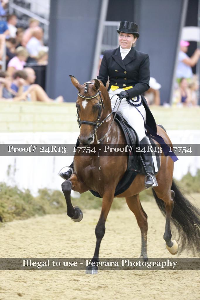 Proof 24R13_17754