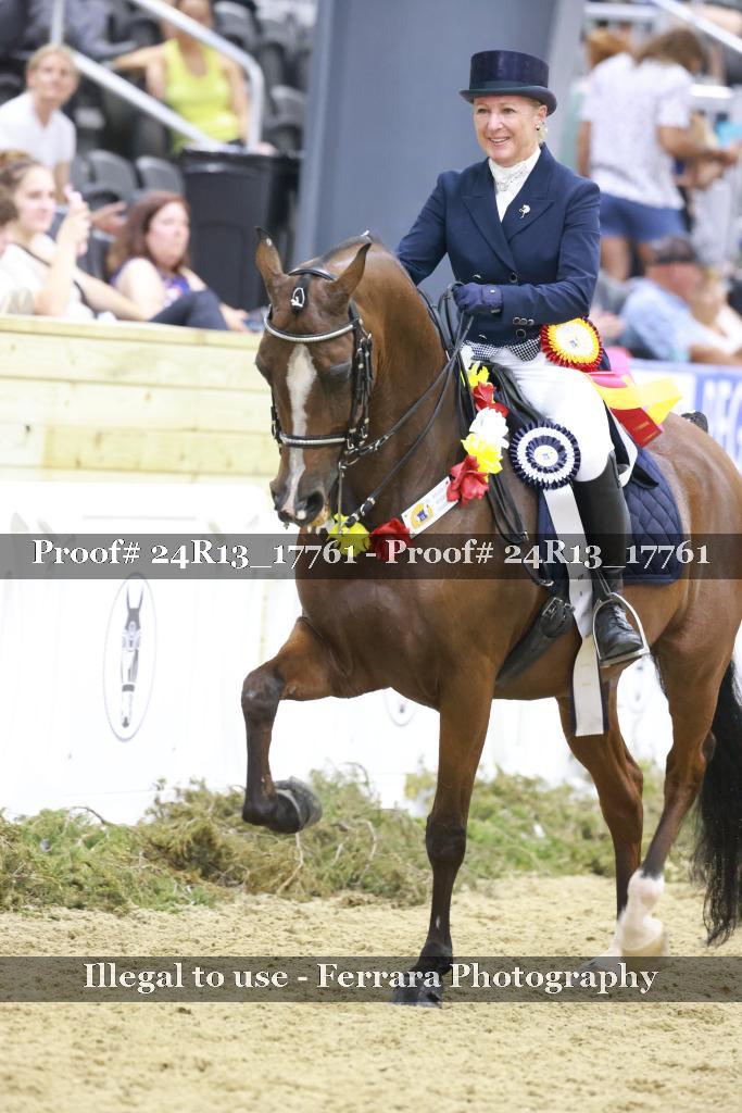 Proof 24R13_17761
