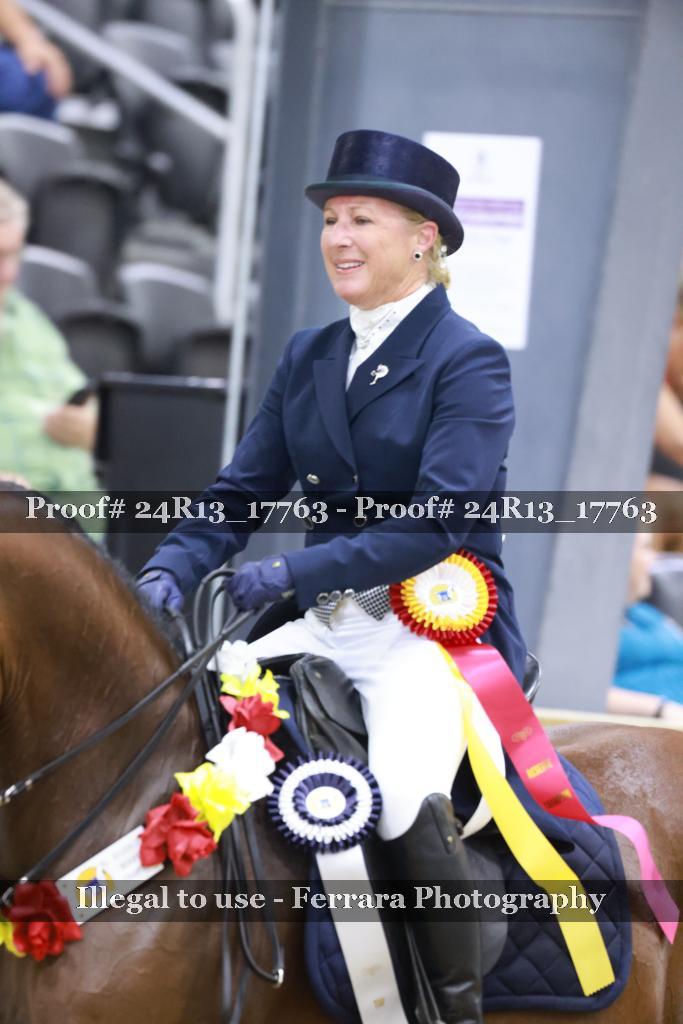 Proof 24R13_17763