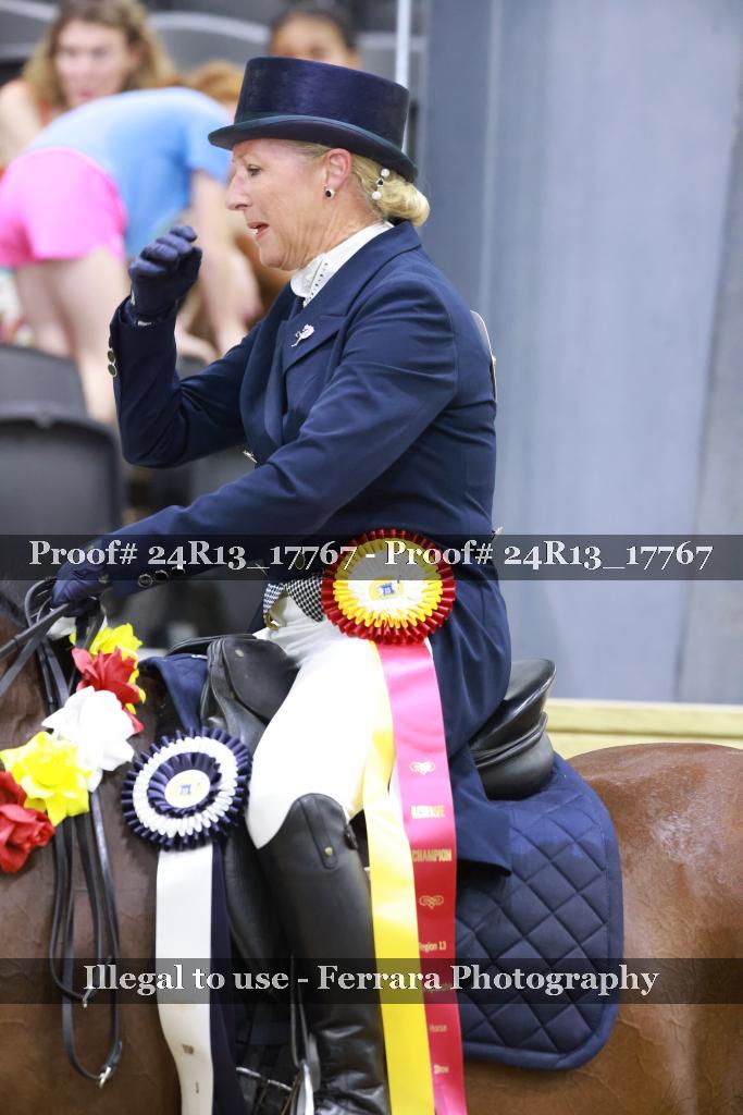 Proof 24R13_17767