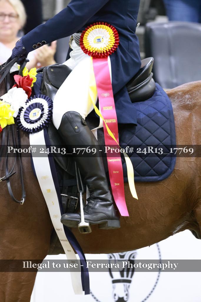 Proof 24R13_17769