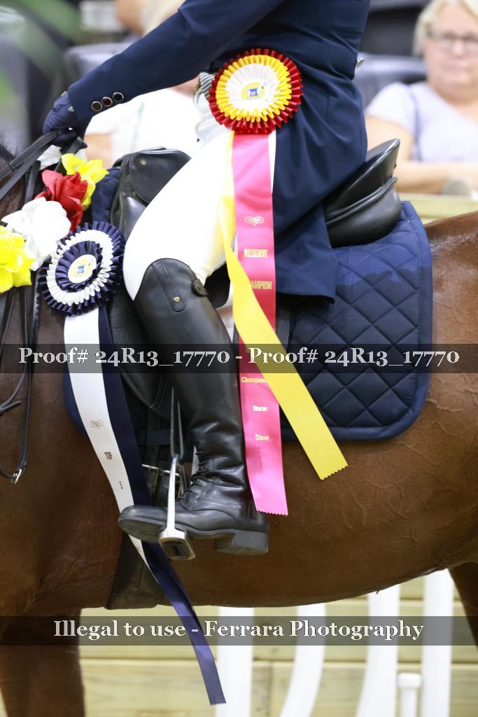 Proof 24R13_17770