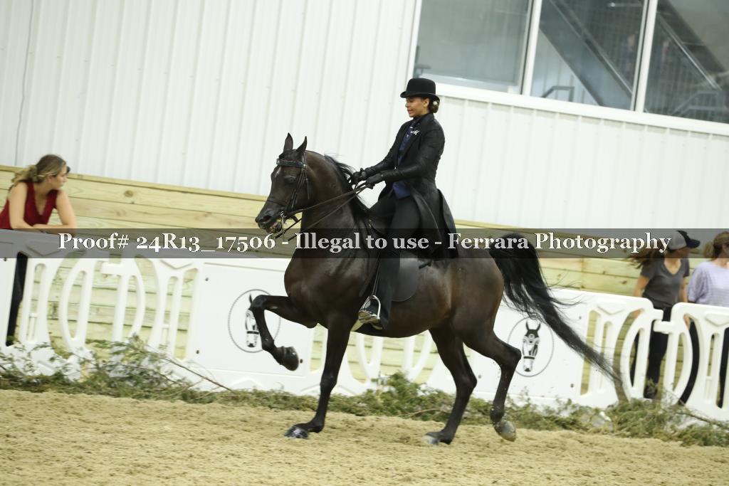 Proof 24R13_17506