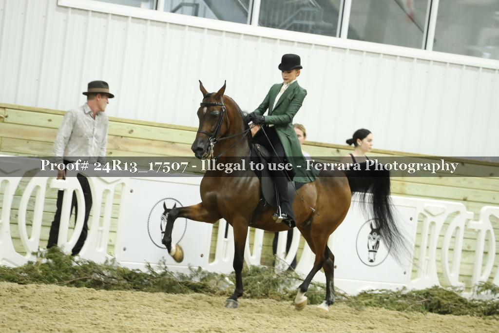 Proof 24R13_17507