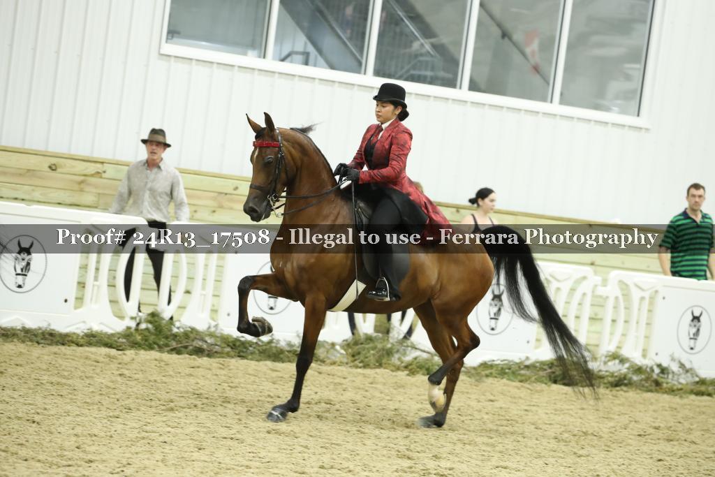 Proof 24R13_17508