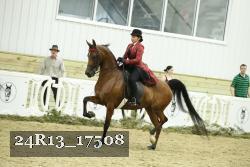 24R13_17508 proof