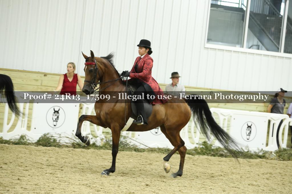 Proof 24R13_17509