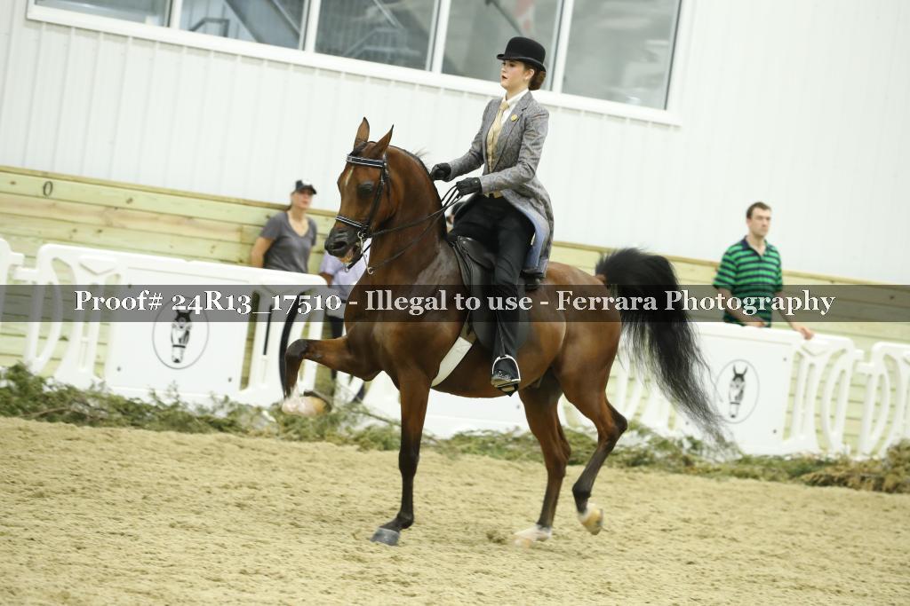 Proof 24R13_17510