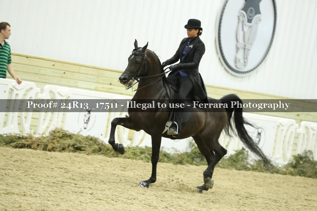Proof 24R13_17511